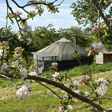 莱德伯里Dragon Orchard Retreat别墅 外观 照片